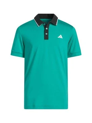 Koszulka polo adidas performance