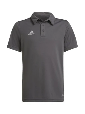 Koszulka polo Adidas szary