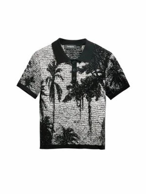Koszulka polo Desigual brązowy