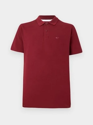 Koszulka polo Hollister Co.