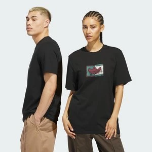 KOSZULKA SHMOOHAUS TEE Adidas