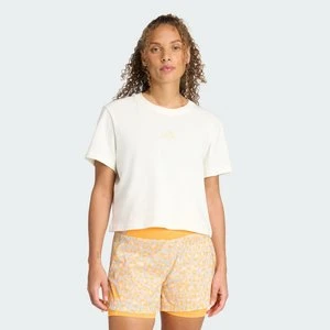 Zdjęcie produktu Koszulka Terrex Multi Meadow Pack Adidas