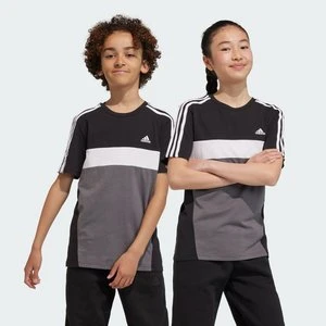 Koszulka Tiberio 3-Stripes Colorblock Cotton Kids Adidas