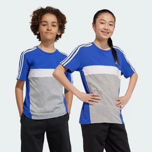 Koszulka Tiberio 3-Stripes Colorblock Cotton Kids Adidas