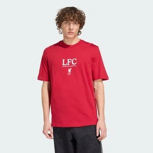 Koszulka z grafiką Liverpool FC Seasonal Adidas