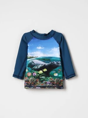 Koszulki do surfowania Molo