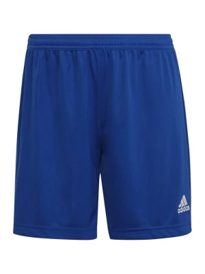 Krótkie spodenki sportowe Adidas błękit królewski
