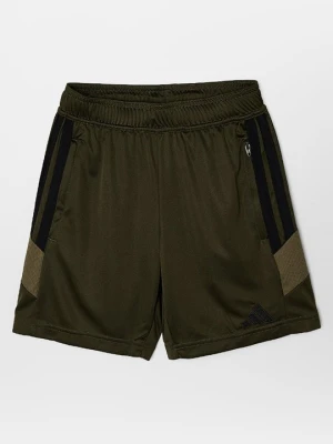 Krótkie spodenki sportowe Adidas oliwkowy