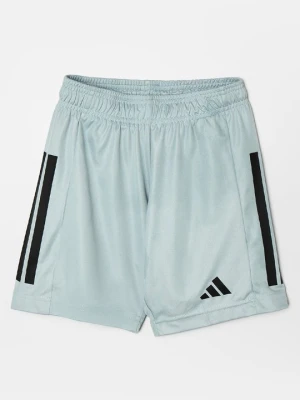 Krótkie spodenki sportowe adidas Originals zielony