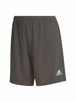Krótkie spodenki sportowe Adidas szary