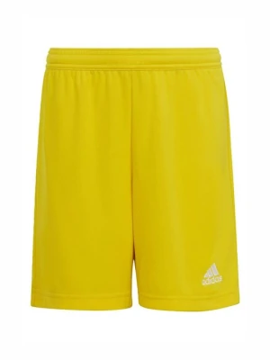 Krótkie spodenki sportowe Adidas żółty