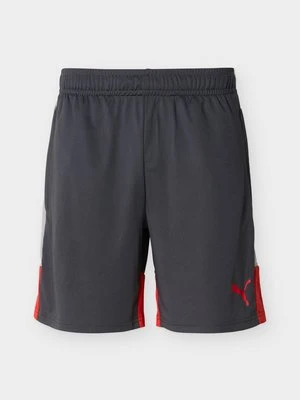 Krótkie spodenki sportowe Puma szary
