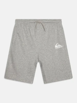 Krótkie spodenki sportowe Quiksilver szary