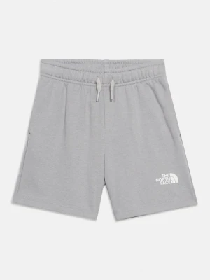 Krótkie spodenki sportowe The North Face szary