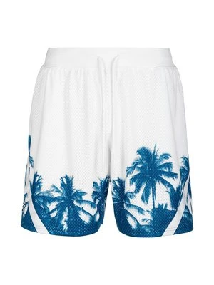 Krótkie spodenki sportowe Under Armour