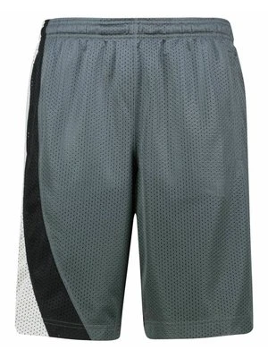 Krótkie spodenki sportowe Under Armour