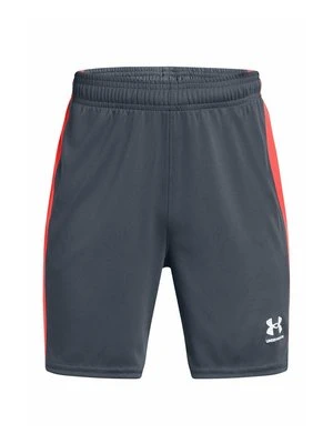 Krótkie spodenki sportowe Under Armour szary