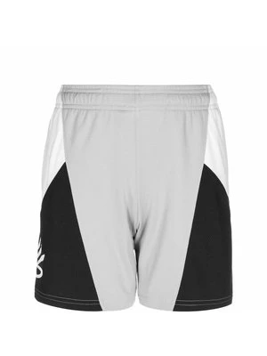 Krótkie spodenki sportowe Under Armour jasnoszary