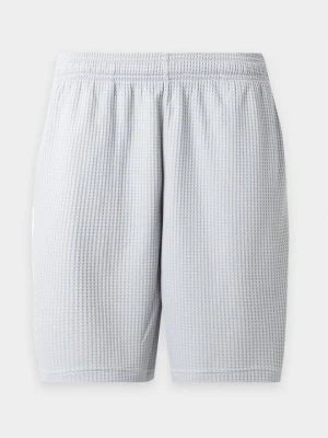 Krótkie spodenki sportowe Under Armour szary