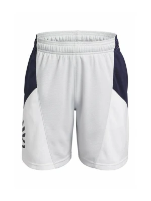 Krótkie spodenki sportowe Under Armour szary