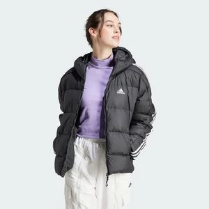 Kurtka Essentials 3-Stripes Mid Down Hooded Adidas