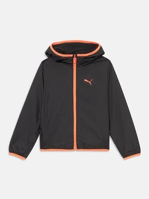 Kurtka Outdoor Puma