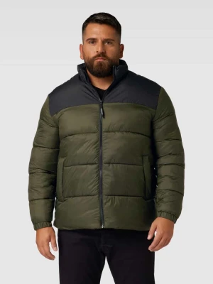 Kurtka pikowana PLUS SIZE dwukolorowa model ‘TOBY’ Jack & Jones Plus