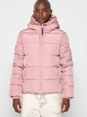 Kurtka przejściowa alpha industries