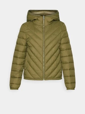 Kurtka przejściowa Boss