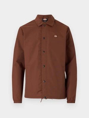 Kurtka przejściowa Dickies