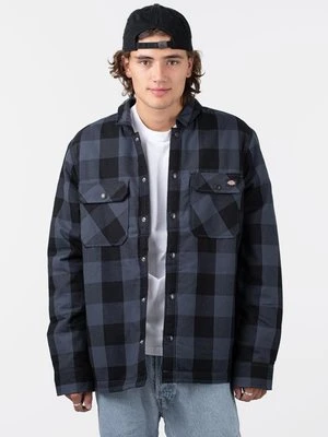 Kurtka przejściowa Dickies