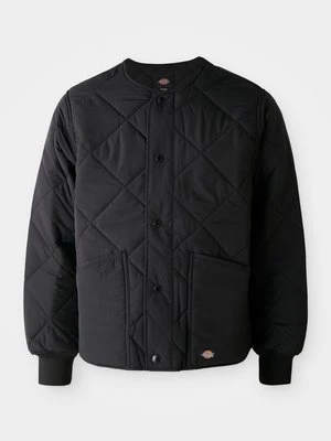 Kurtka przejściowa Dickies