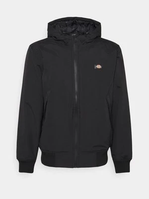 Kurtka przejściowa Dickies