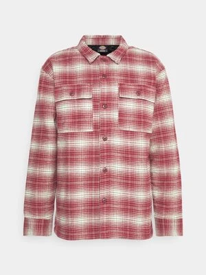 Kurtka przejściowa Dickies