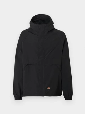 Kurtka przejściowa Dickies