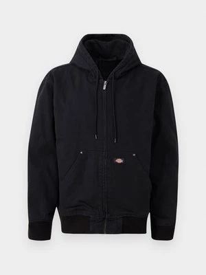 Kurtka przejściowa Dickies