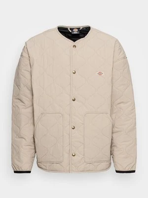 Kurtka przejściowa Dickies