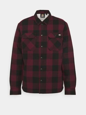Kurtka przejściowa Dickies