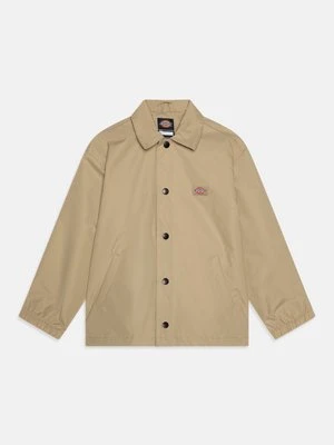 Kurtka przejściowa Dickies