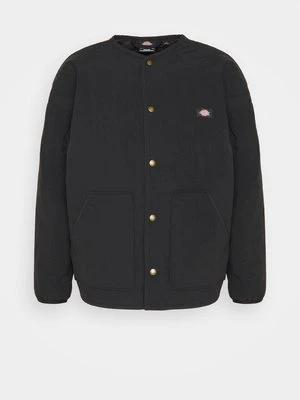 Kurtka przejściowa Dickies