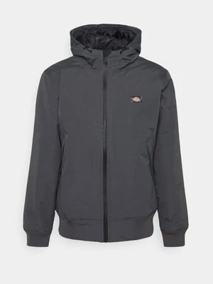 Kurtka przejściowa Dickies szary