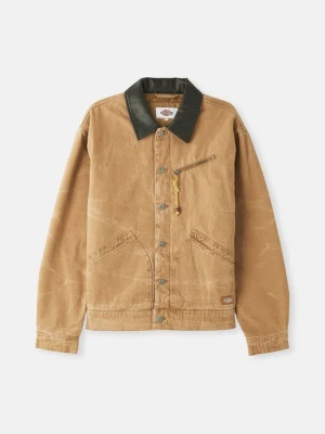 Kurtka przejściowa Dickies brązowy