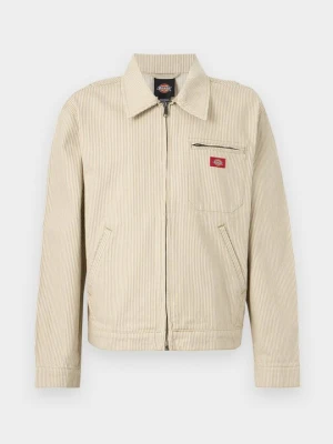 Kurtka przejściowa Dickies jasnozielony