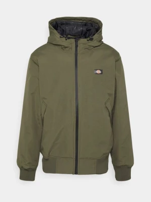 Kurtka przejściowa Dickies oliwkowy