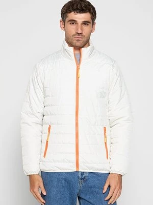 Kurtka przejściowa dreimaster