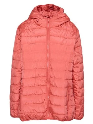 Kurtka przejściowa dreimaster