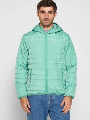 Kurtka przejściowa dreimaster