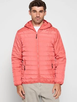 Kurtka przejściowa dreimaster