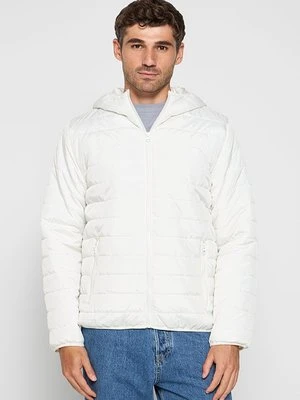 Kurtka przejściowa dreimaster