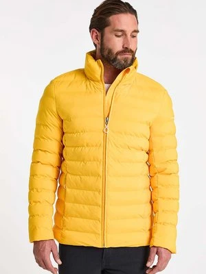 Kurtka przejściowa dreimaster